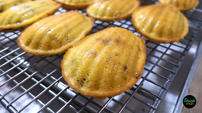 Cranberry Madeleine